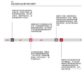 普华永道整车厂三电产业链布局策略